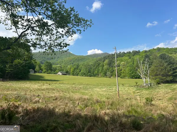 10 AC Pleasant Valley Lane, Blairsville, GA 30512