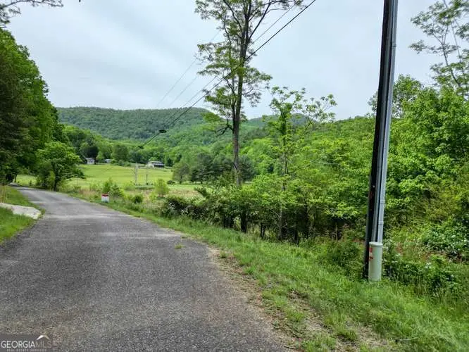 10 AC Pleasant Valley Lane, Blairsville, GA 30512 - #2