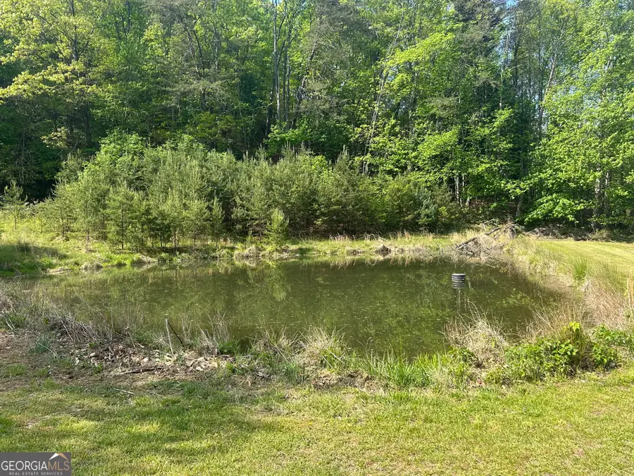 10 AC Pleasant Valley Lane, Blairsville, GA 30512 - #3