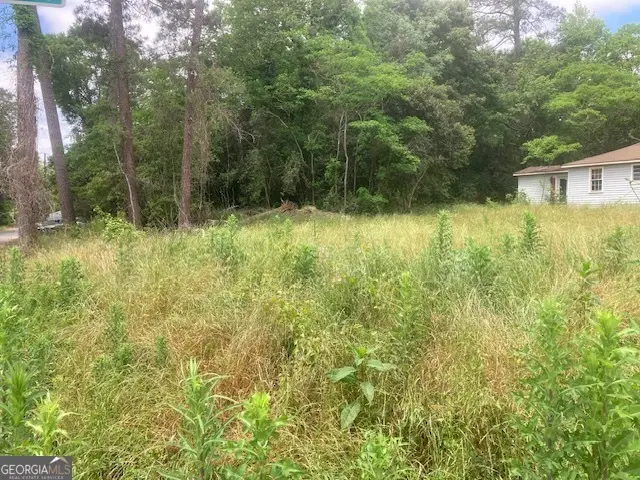 141 Ramsey Street, Milledgeville, GA 31061 - #3