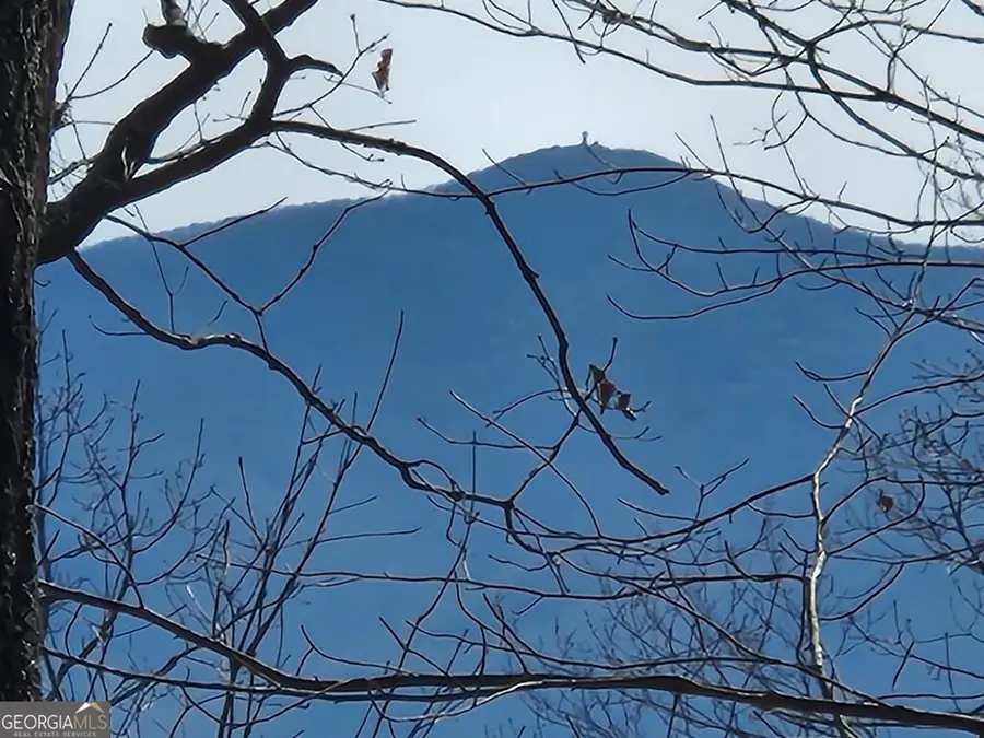 #28 Overlook Loop, Young Harris, GA 30582 - #2