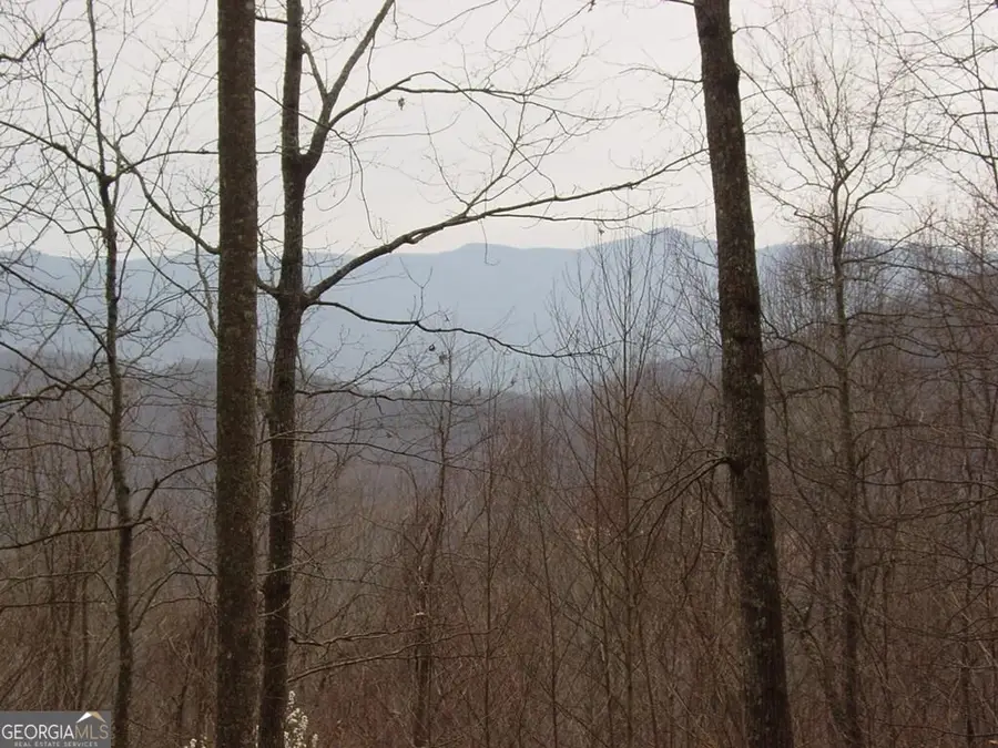 #28 Overlook Loop, Young Harris, GA 30582 - #3