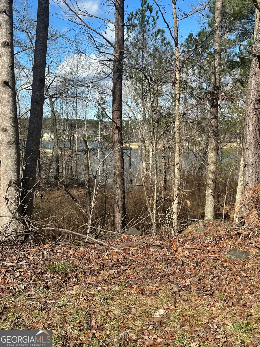 5012 Fairview Circle, Villa Rica, GA 30180 - #2