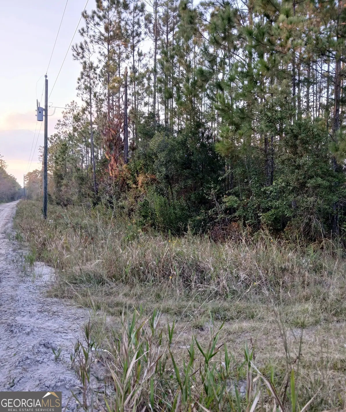 0-(5 ACRE LOT) Old Kings Bay Road, Waynesville, GA 31566 - #1