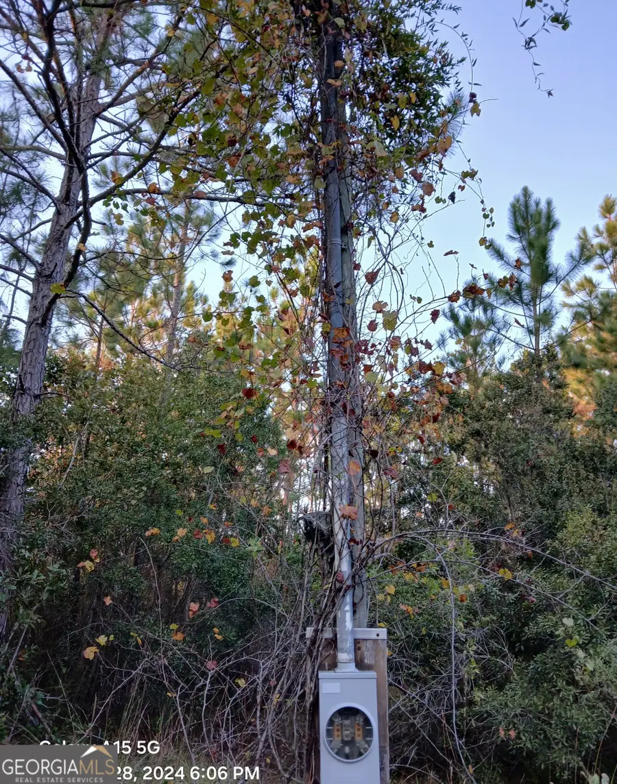 0-(5 ACRE LOT) Old Kings Bay Road, Waynesville, GA 31566 - #2