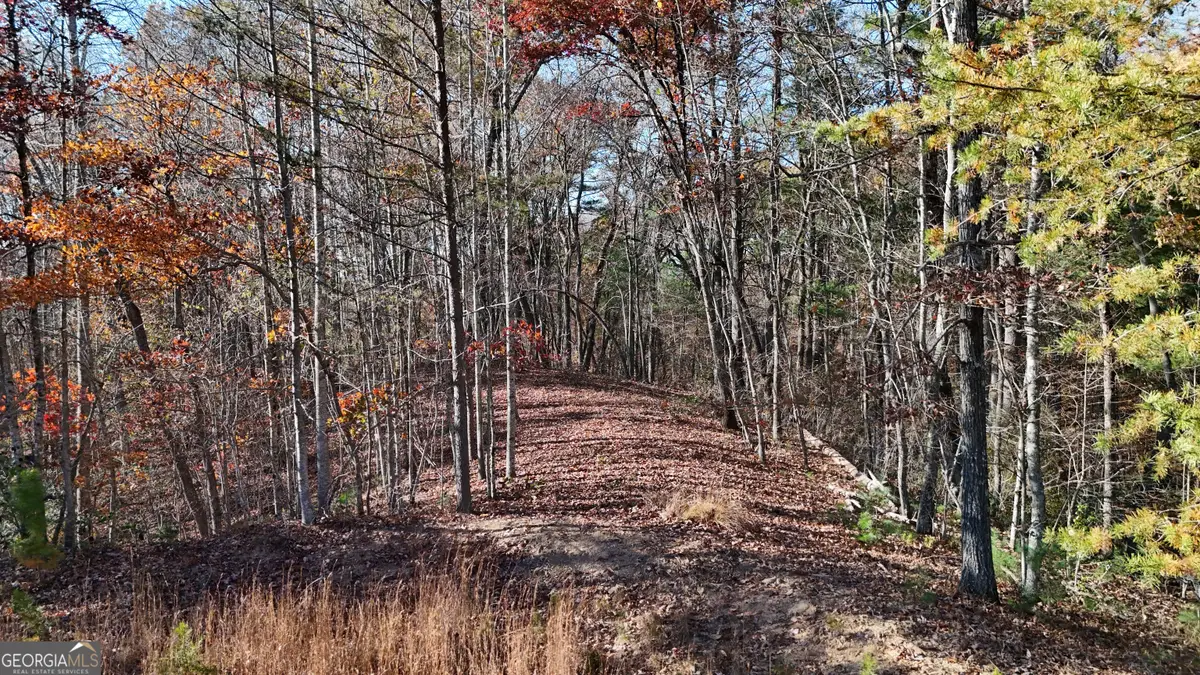 LOT 197 Springwinds Drive, Cleveland, GA 30528 - #1
