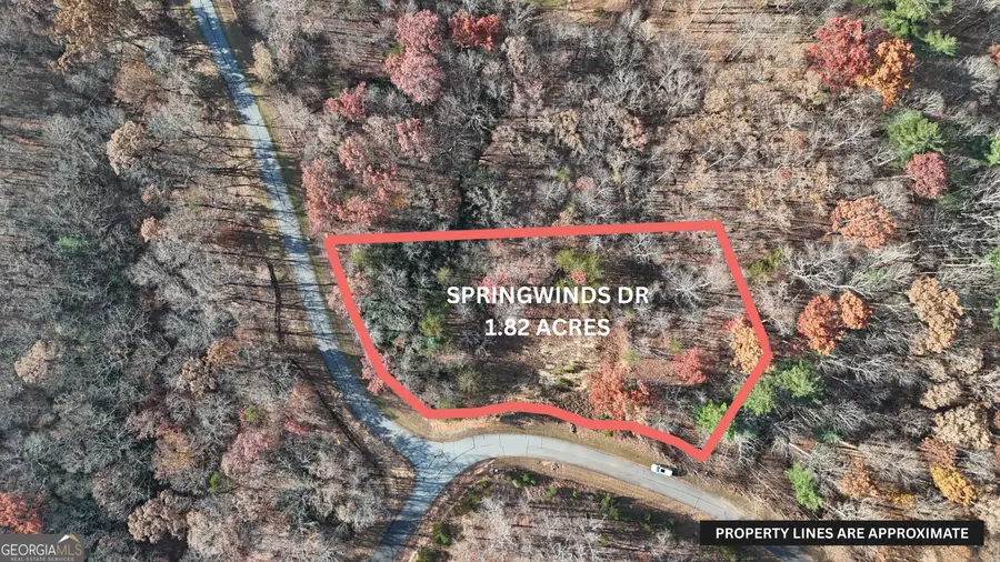 LOT 197 Springwinds Drive, Cleveland, GA 30528 - #3