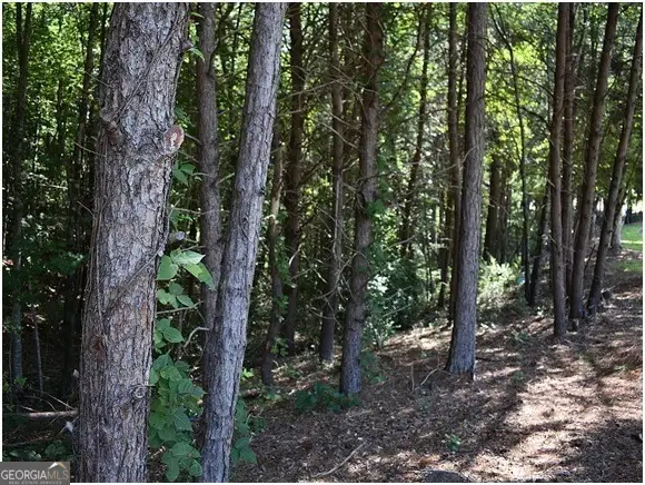 2212 Huntingdon Court, Gainesville, GA 30506 - #3