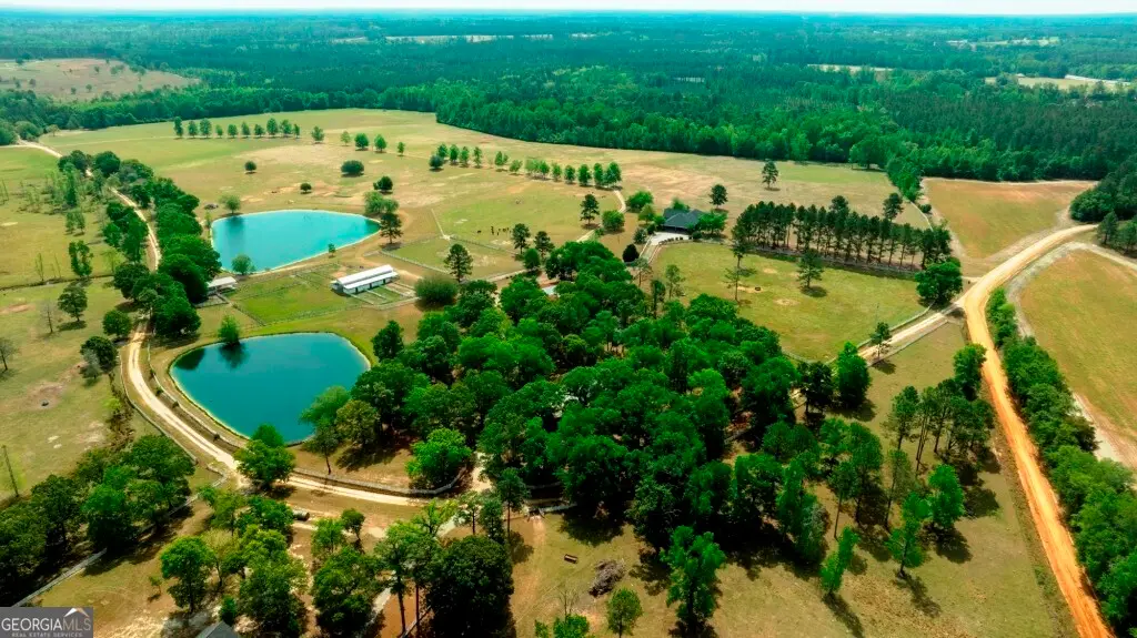 5391 Big Pine Road, Garfield, GA 30425 - #1