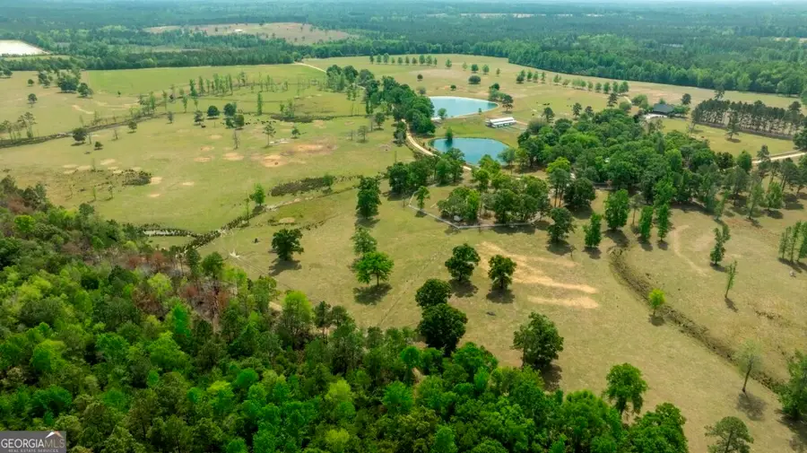 5391 Big Pine Road, Garfield, GA 30425 - #3