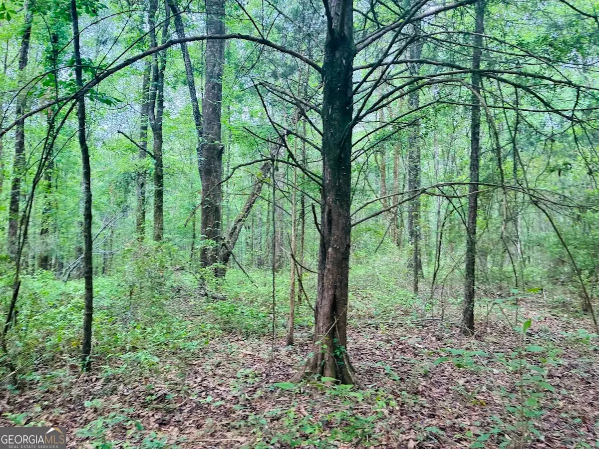 0 Wall Street #TRACT B, Tallassee, AL 36078 - #1