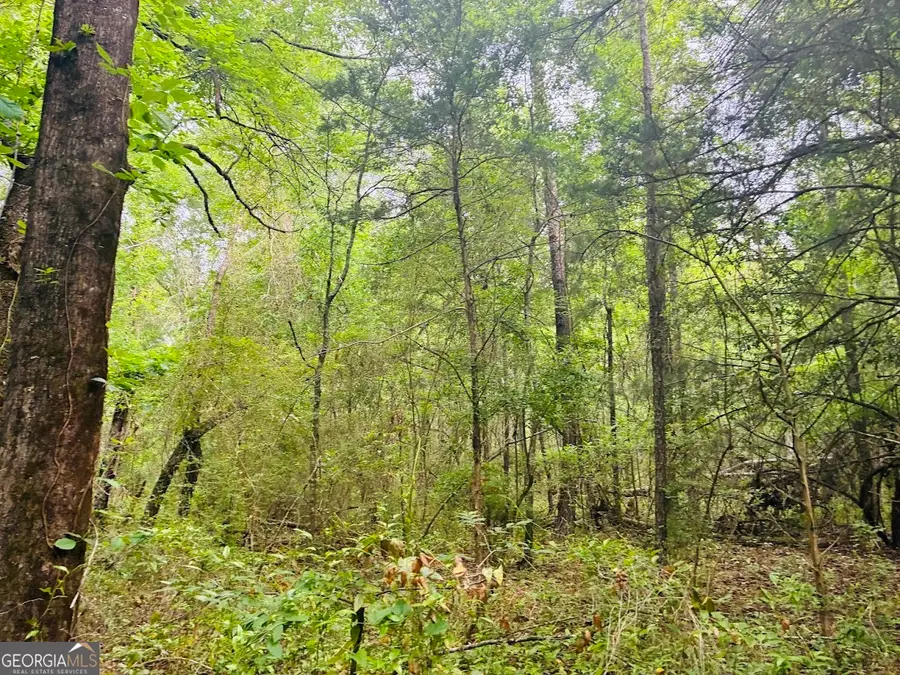 0 Wall Street #TRACT B, Tallassee, AL 36078 - #3