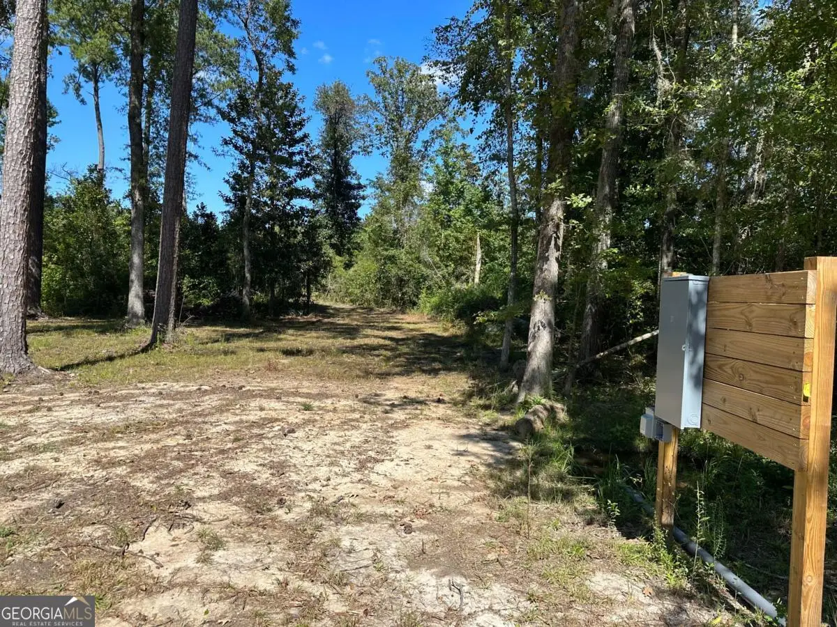 0 Dead River Rd Lots #25, 26, 27, 32, Uvalda, GA 30473 - #1