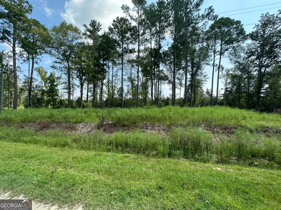 0 Dead River Rd Lots #25, 26, 27, 32, Uvalda, GA 30473 - #3