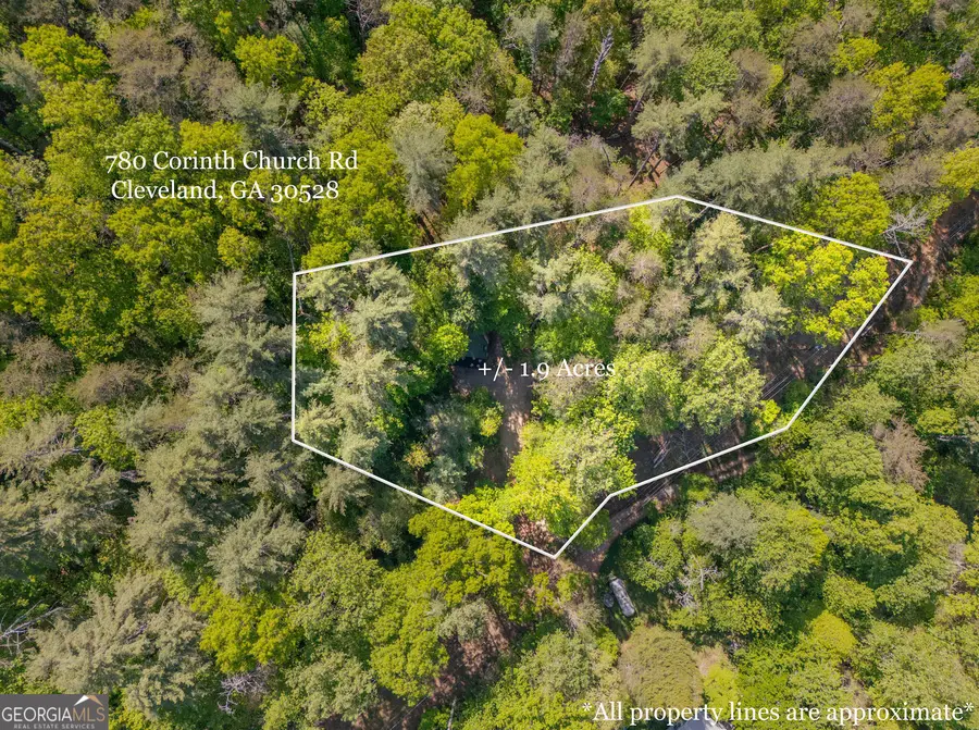 780 Corinth Church Road, Cleveland, GA 30528 - #3