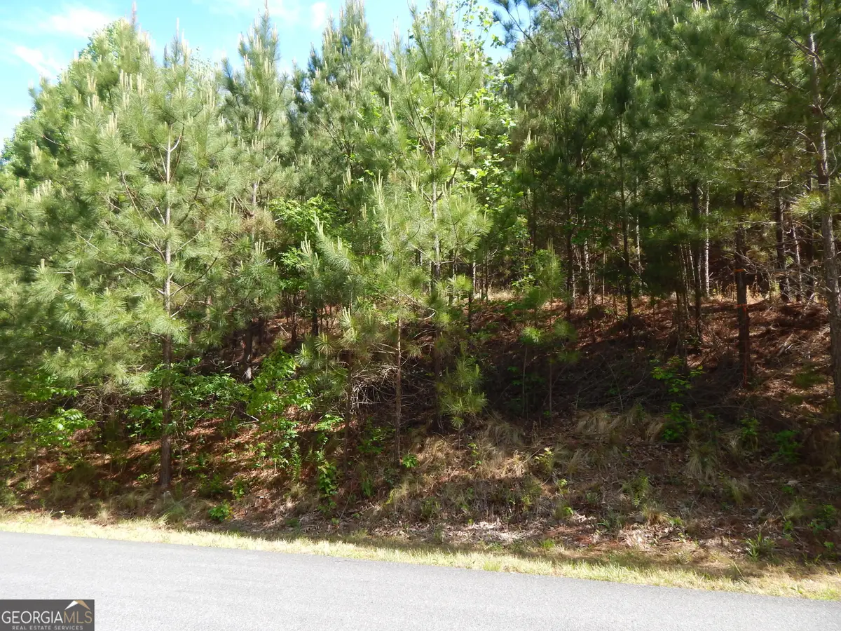 #361 The Cove At Thirteen Hundred, Young Harris, GA 30582 - #1