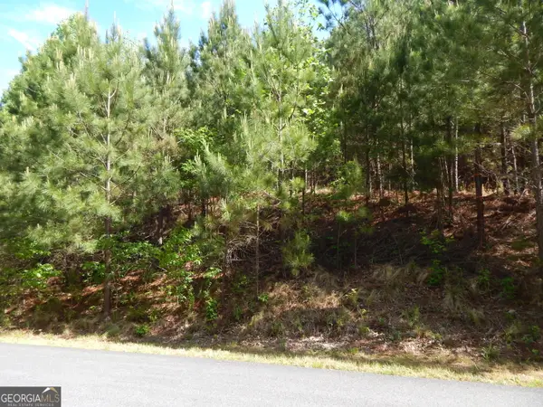 #361 The Cove At Thirteen Hundred, Young Harris, GA 30582