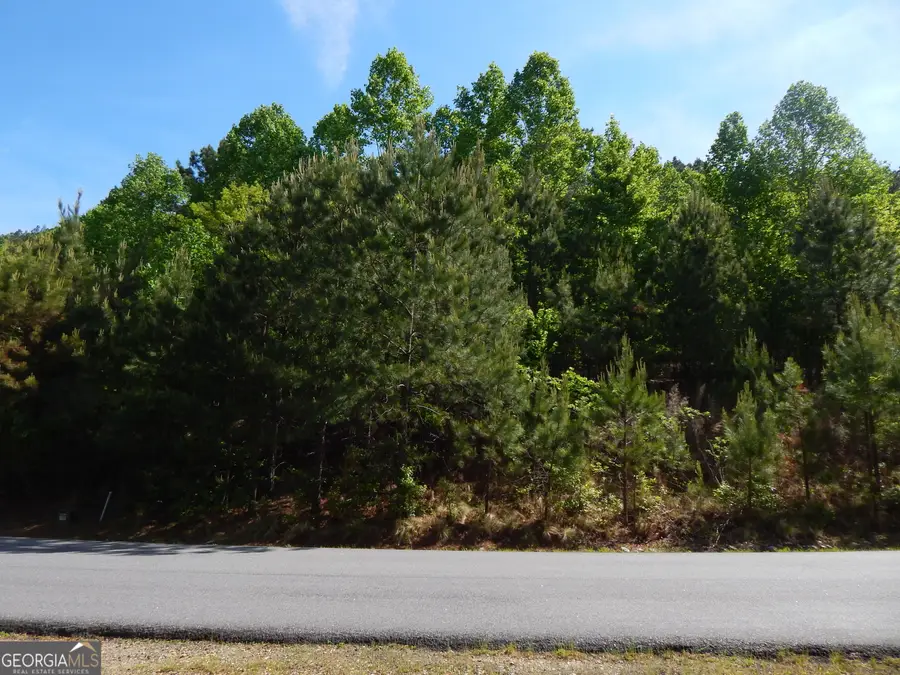 #361 The Cove At Thirteen Hundred, Young Harris, GA 30582 - #2