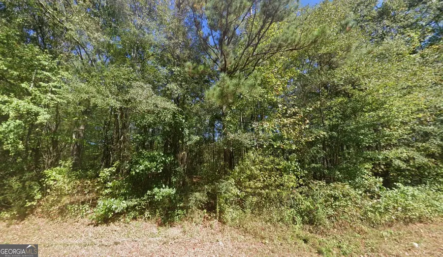 900 Joe Stephens Road, Franklin, GA 30217 - #2