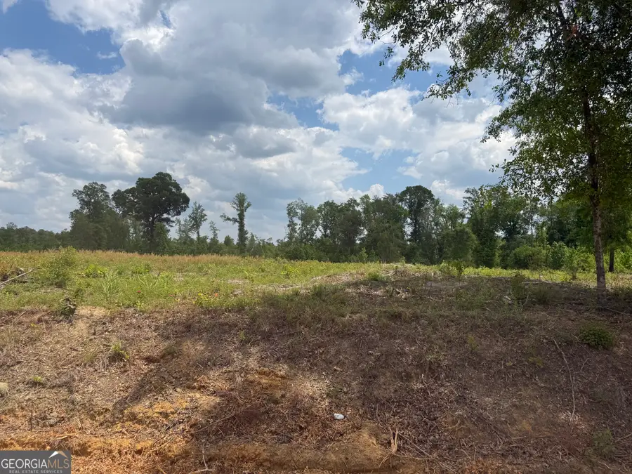 0 J D Williams Road, Cadwell, GA 31009 - #2