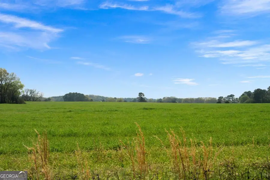 0 Miller Farm - Tract 3 Road, Taylorsville, GA 30178 - #2