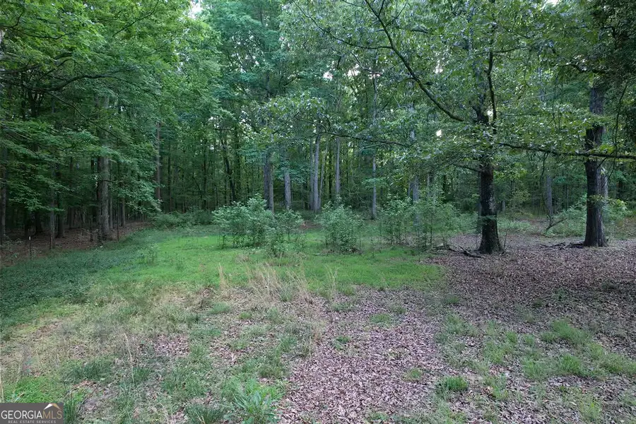 121 Carver Drive, Jefferson, GA 30549 - #3