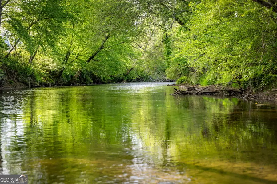 460 Wikle Drive, Ellijay, GA 30540 - #3