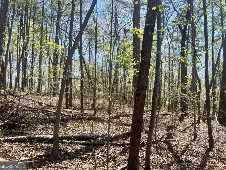 LOT 93 Doll Mountain Road, Ellijay, GA 30540 - #3