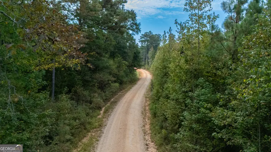 0 W County Road 655 #LOT 3, Roanoke, AL 36274 - #2