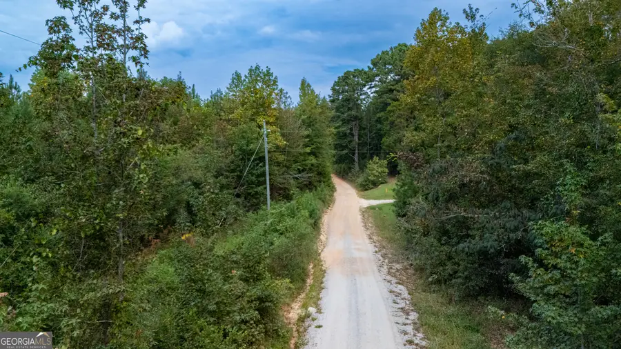 0 W County Road 655 #LOT 3, Roanoke, AL 36274 - #3