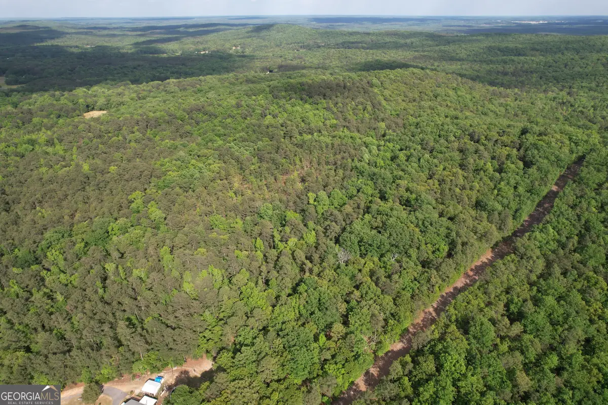 339 Oliver Road, Meansville, GA 30256 - #1