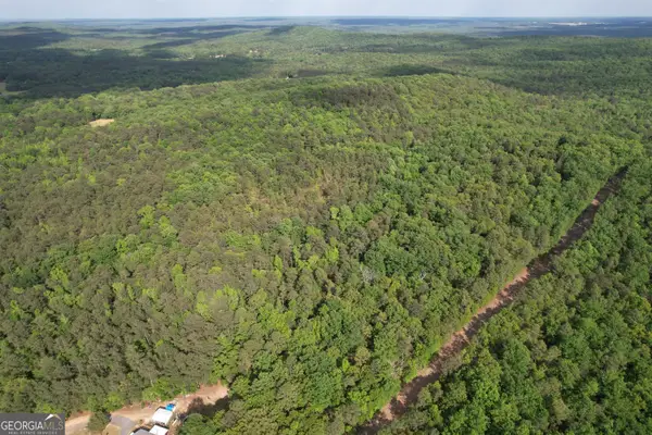 339 Oliver Road, Meansville, GA 30256