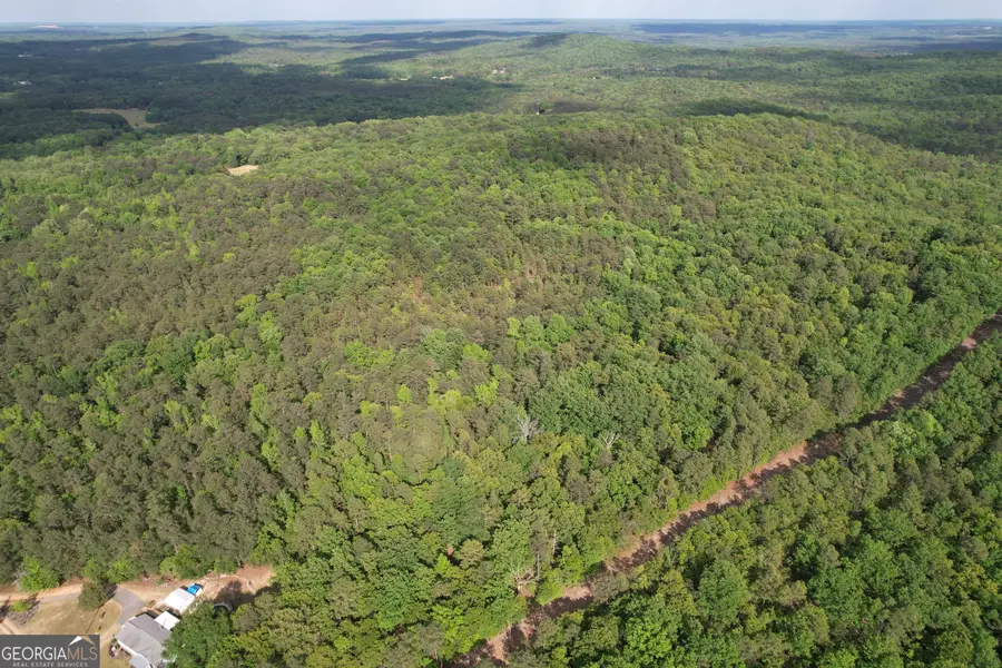 339 Oliver Road, Meansville, GA 30256 - #3