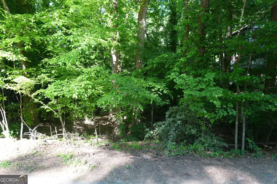 0 Lakeside Trail, Cumming, GA 30041 - #3