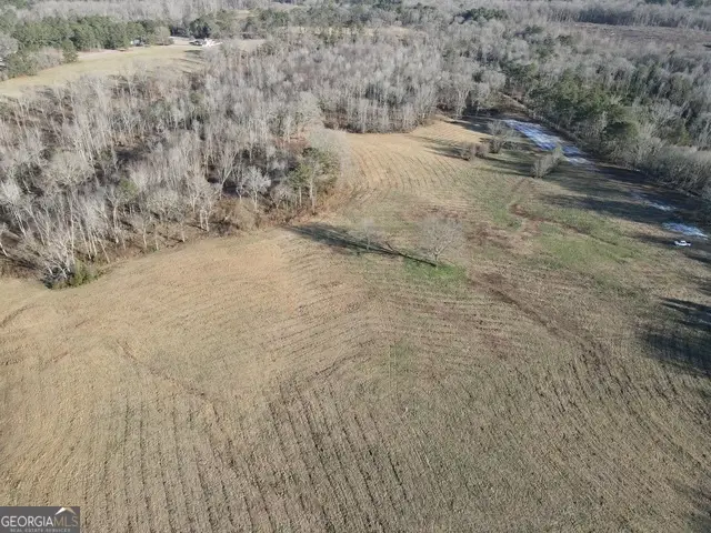 LOT 6 Kendrick, Zebulon, GA 30295 - #3
