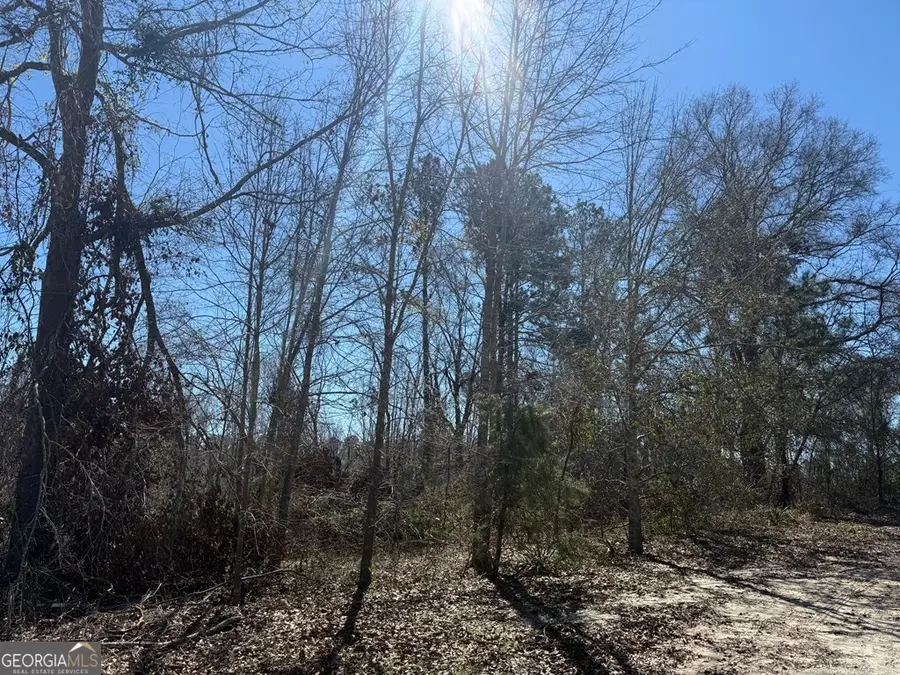 0 Wragler Trail (lot), Hazlehurst, GA 31539 - #2