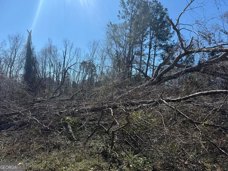 0 Wragler Trail (lot), Hazlehurst, GA 31539 - #3
