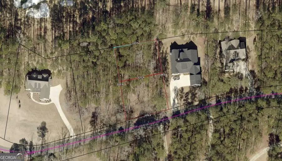 1580 Club Drive, Greensboro, GA 30642 - #2