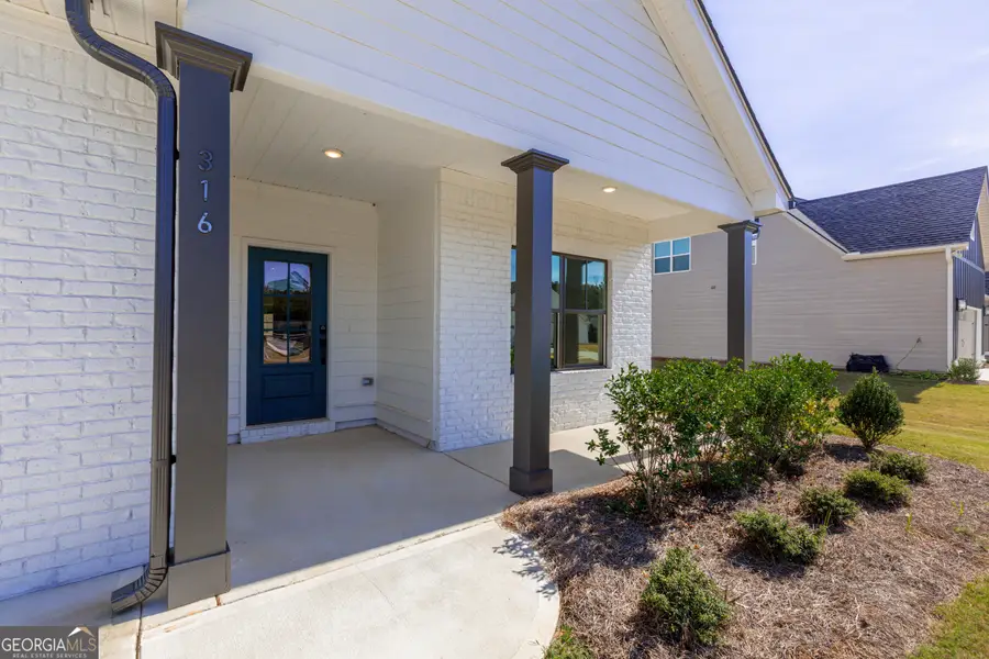 316 Hammerstone Court, Senoia, GA 30276 - #3