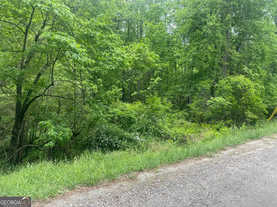 0 Luther Plamer, Cleveland, GA 30528 - #2