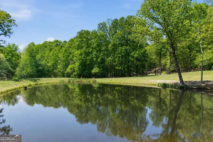 1837 Deep South Farm Road, Blairsville, GA 30512 - #3