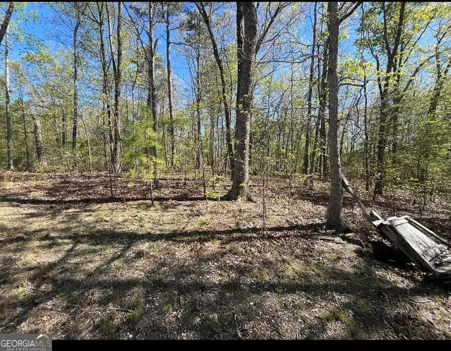 0 Lafayette, Rocky Face, GA 30740 - #2