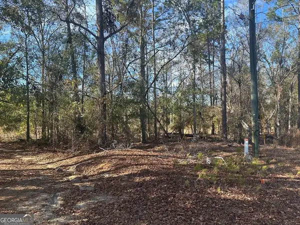 0 Tommie Drive, Vidalia, GA 30474