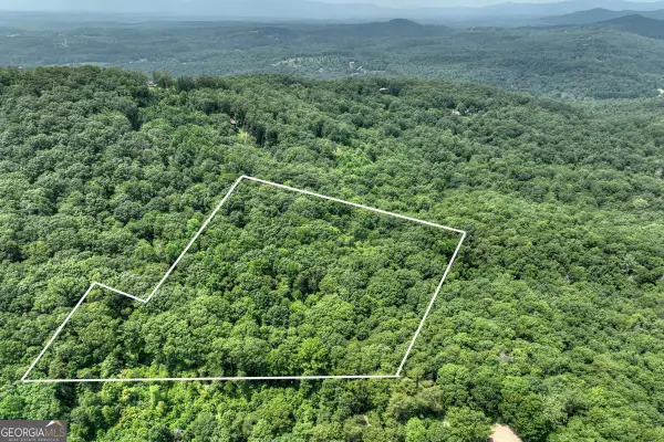 7.89 AC Laurel Springs Road, Mineral Bluff, GA 30559