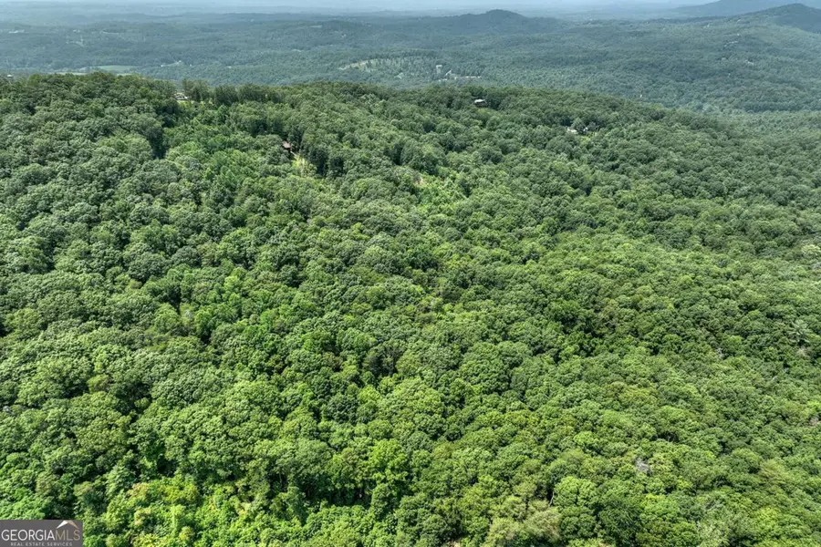 7.89 AC Laurel Springs Road, Mineral Bluff, GA 30559 - #2