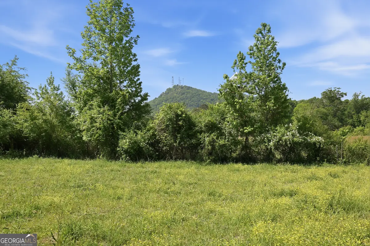 3120 W Currahee Street, Toccoa, GA 30577 - #1