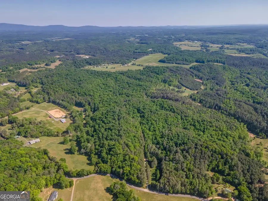 410 Pine Hill Road Se, Rydal, GA 30171 - #3