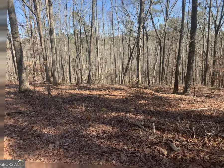 0 Bill Smith Drive, Canton, GA 30114 - #3