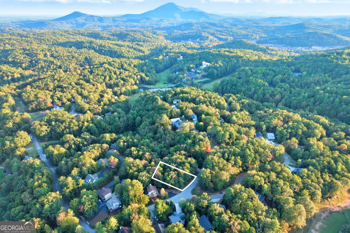 0 Zeppelin Strasse, Helen, GA 30545 - #1