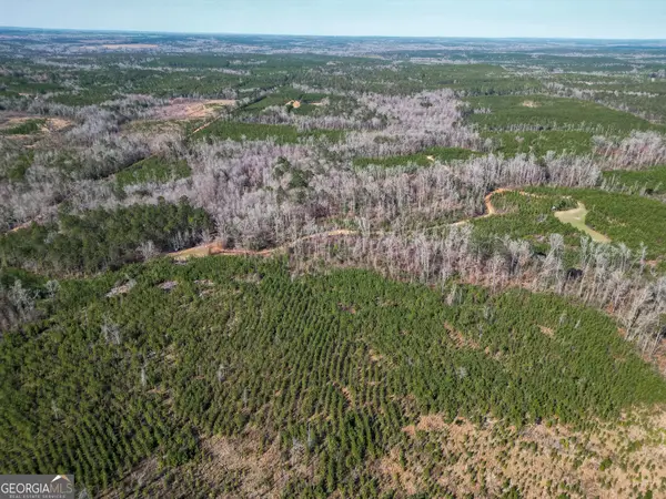 1298 Days Avenue, Morris, GA 39867